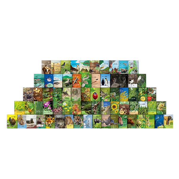 야호 자연아 썸네일.png